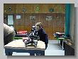 229_Benchrest-Hamminkeln-2011.jpg