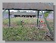 012_Benchrest-BR50-ATPN-Thionville-2015.JPG