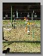 059_Benchrest-BR50-ATPN-Thionville-2015.JPG