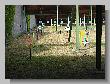 064_Benchrest-BR50-ATPN-Thionville-2015.JPG